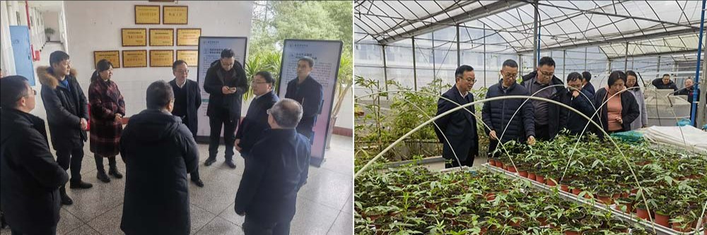 mriQ_1740643273763096936.jpeg mriQ_1740643273763096936.jpeg