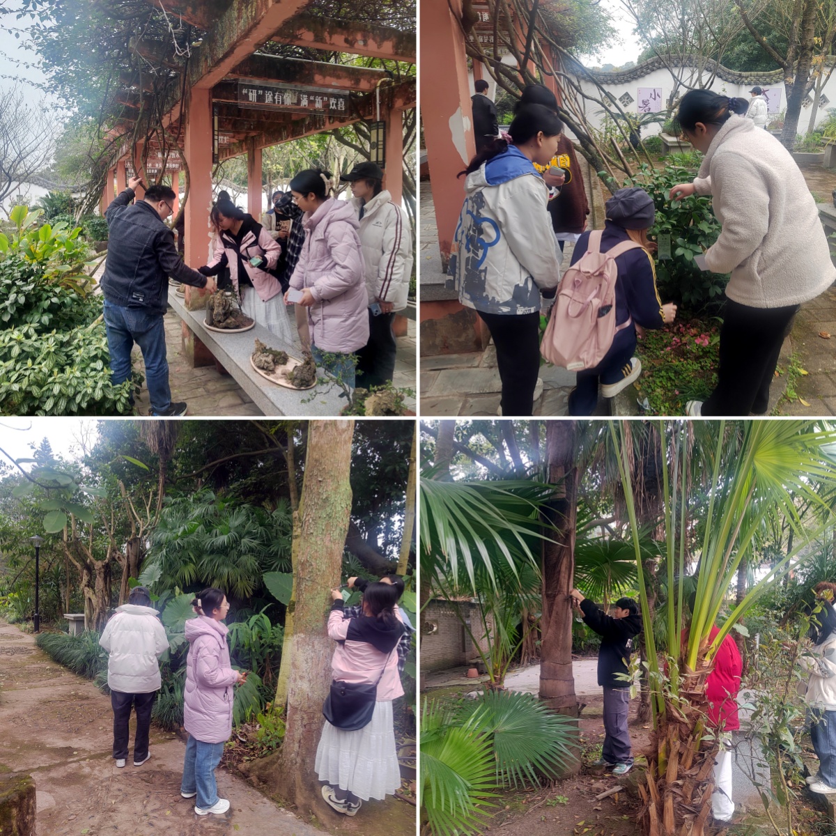 knmy_1742174132603020508.jpg knmy_1742174132603020508.jpg